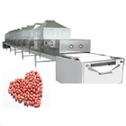 Tunnel Drying Oven Microwave Drying Industrial Conveyor Oven